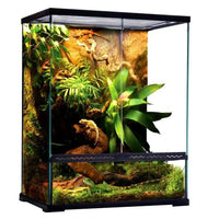 Deluxe Reptile Terrarium 30cm x 30cm x 45cm - Amazing Amazon