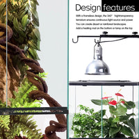 Deluxe Reptile Terrarium 45cm x 45cm x 60cm - Amazing Amazon
