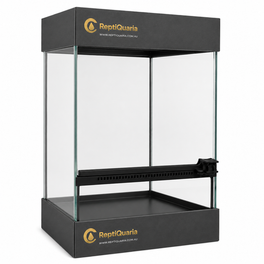 ReptiQuaria Glass Reptile Terrarium 20cm x 20cm x 30cm