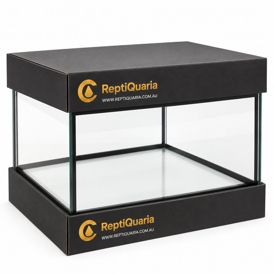ReptiQuaria Glass Reptile Terrarium 30cm x 30cm x 20cm