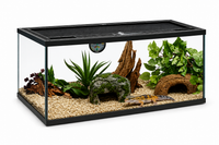 ReptiQuaria Glass Terrarium 50cm x 30cm x 30cm mesh top
