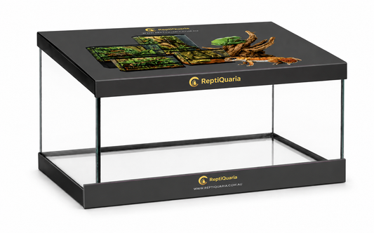 ReptiQuaria Glass Terrarium 50cm x 30cm x 30cm